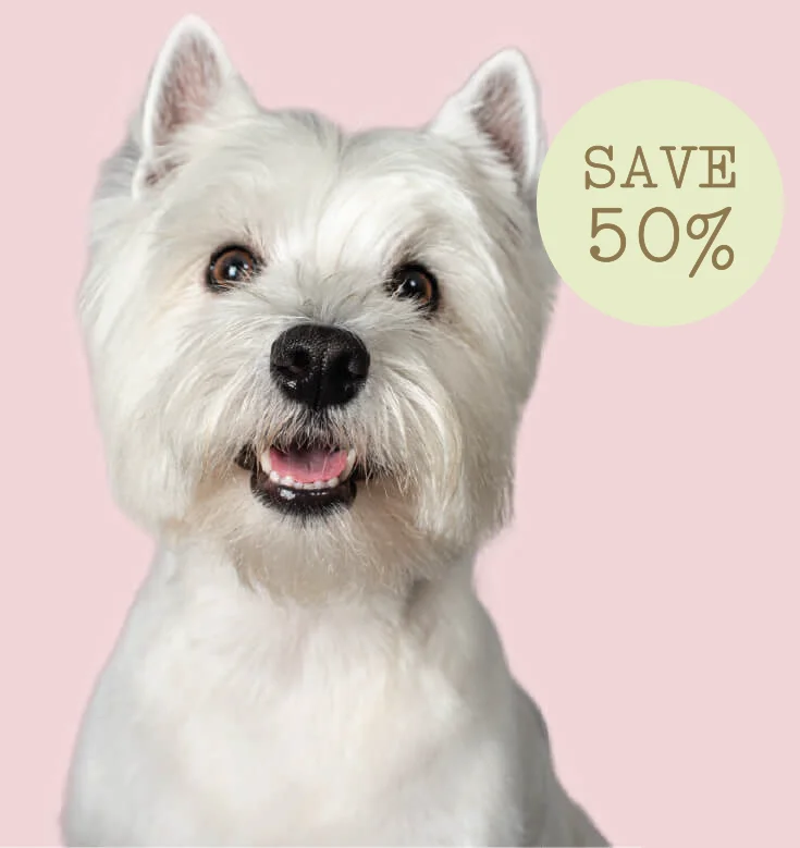 White Dog. Save 50%
