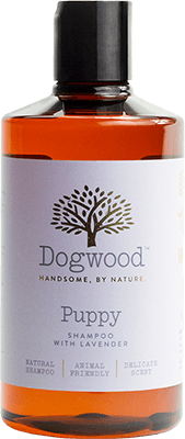 A bottle of Dogwood shampoo