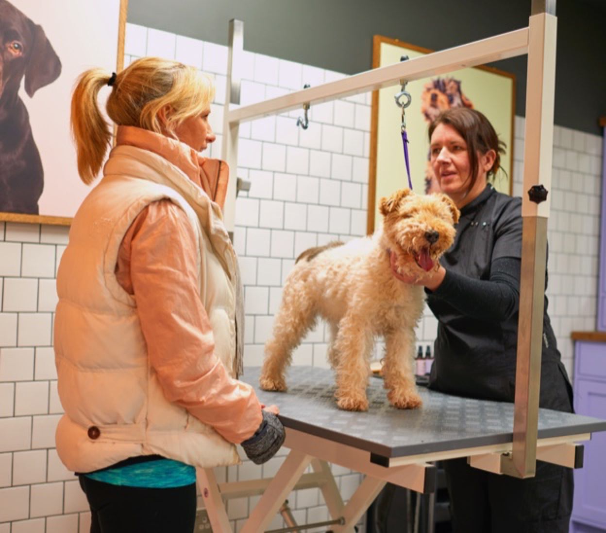 Join Us Dogwood Natural Pet Grooming Spa